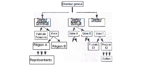 structure hiérarchique